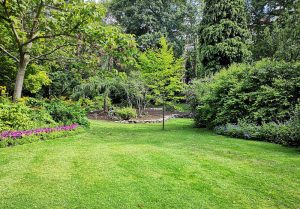 Optimiser l'expérience du jardin à Provenchère